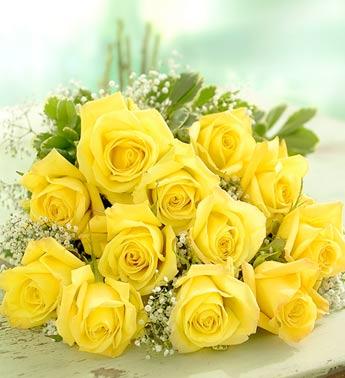 24 Yellow roses in a bouquet