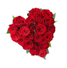 50 Red roses heart