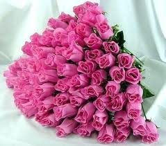 24 Pink roses in a bouquet
